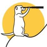 suricate-trading.de