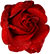 the-rose.ru