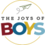 thejoysofboys.com