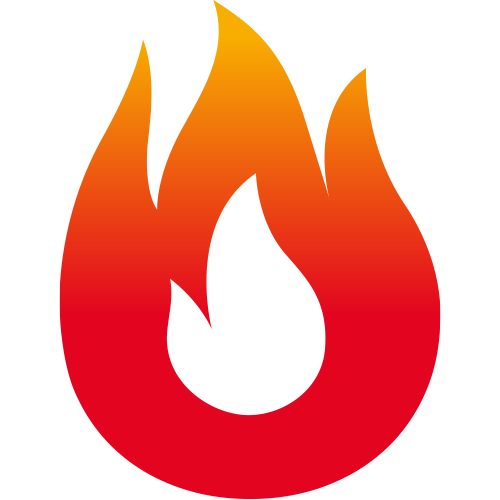 Favicon topflames.nl