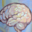 Favicon translationalneuroscience.nl