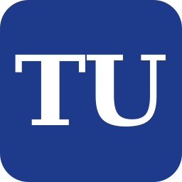 truthundercover.com.ico