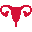 uterus2.ru