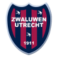 Favicon voetbal.zwaluwenutrecht1911.nl