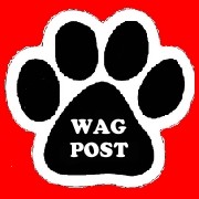 waggingtonpost.com