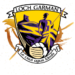 wexfordgaa.ie