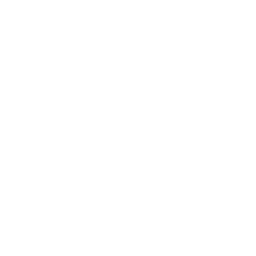 Favicon whiskytroef.be