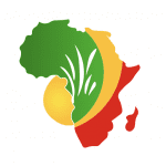 www.opportunitiesforafricans.com